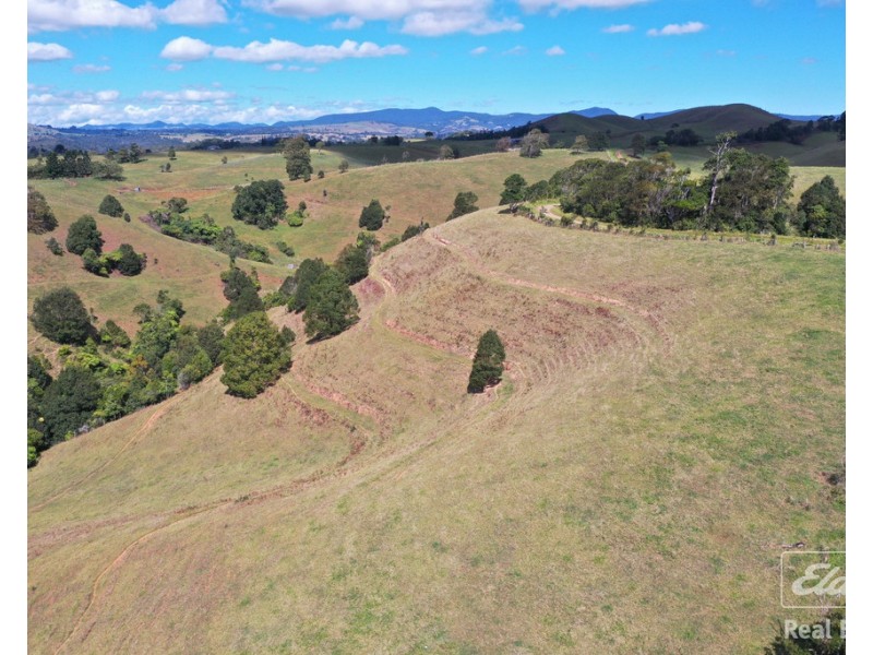 Tarzali QLD 4885