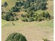 Tarzali QLD 4885