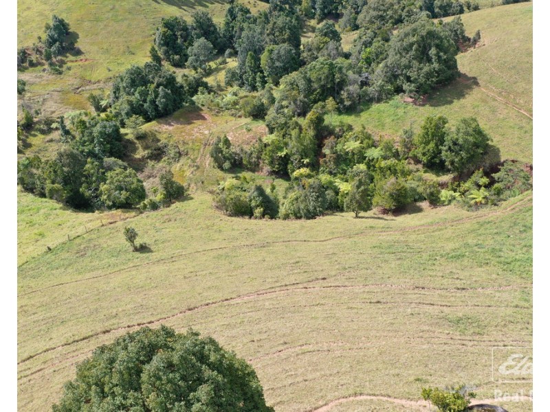 Tarzali QLD 4885