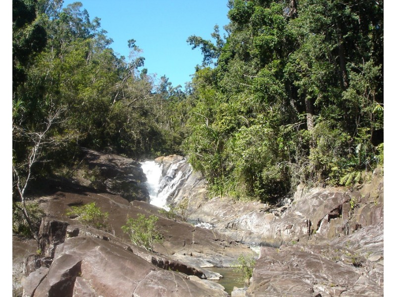 Tarzali QLD 4885