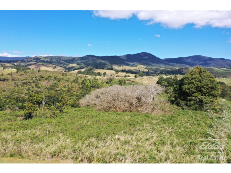 Millaa Millaa QLD 4886