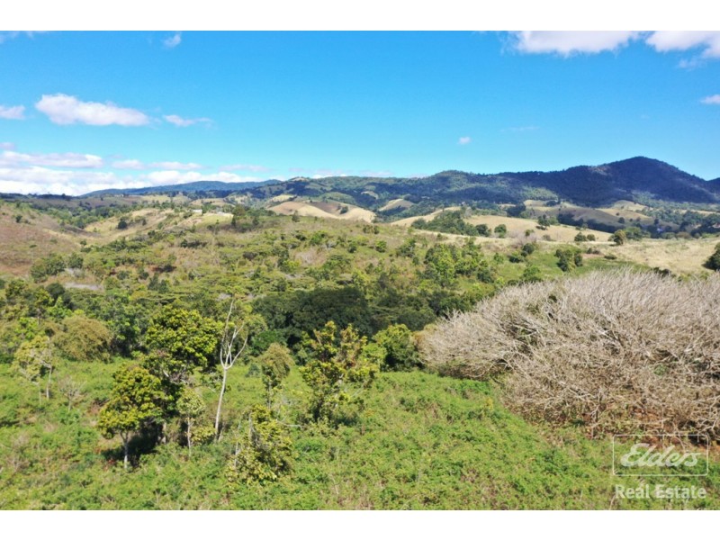 Millaa Millaa QLD 4886