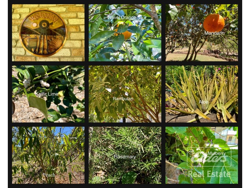 42 RANKINE DRIVE, Tolga QLD 4882