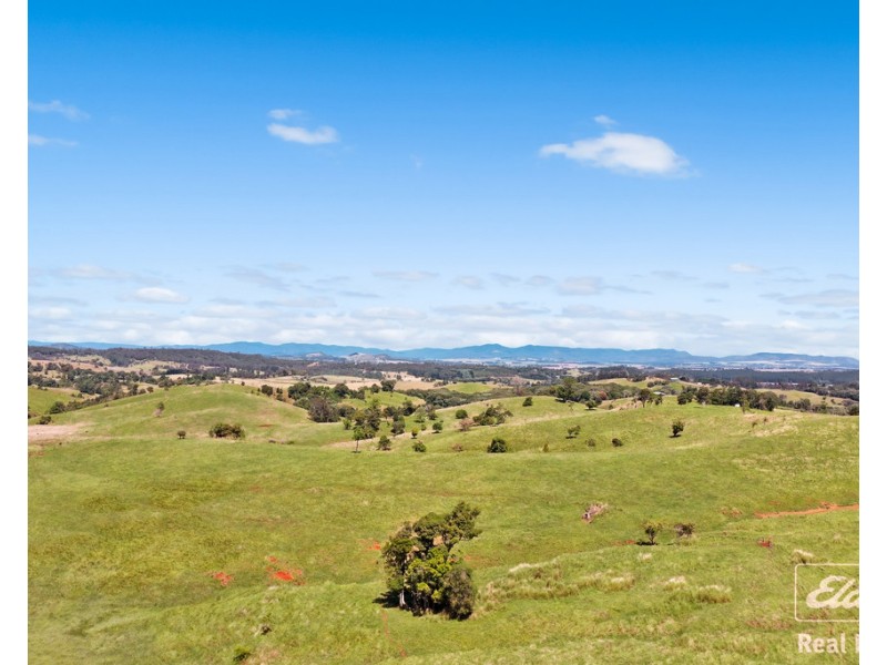 Yungaburra QLD 4884