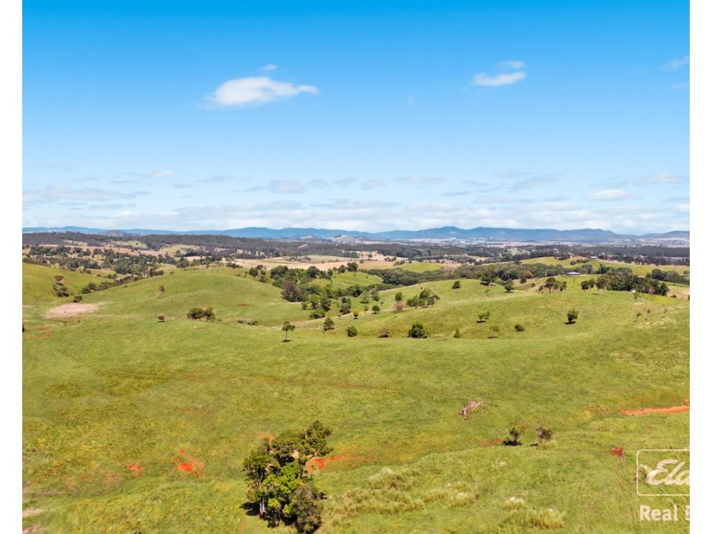 Yungaburra QLD 4884