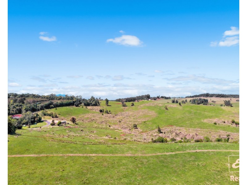 Yungaburra QLD 4884