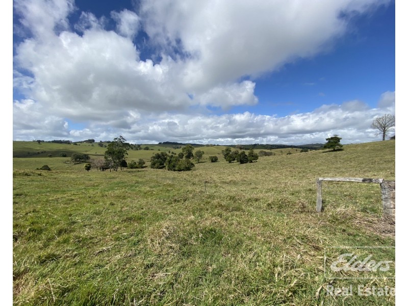 Yungaburra QLD 4884