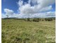 Yungaburra QLD 4884