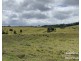 Yungaburra QLD 4884