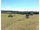 Yungaburra QLD 4884