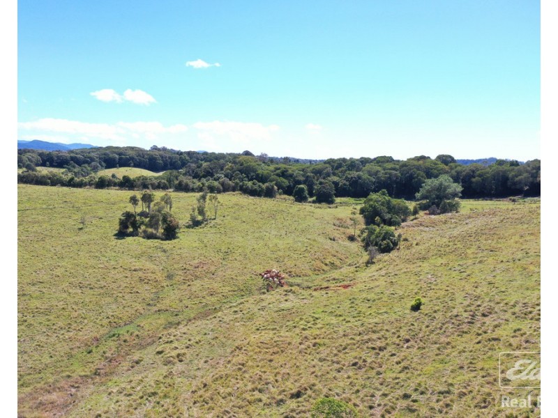 Yungaburra QLD 4884
