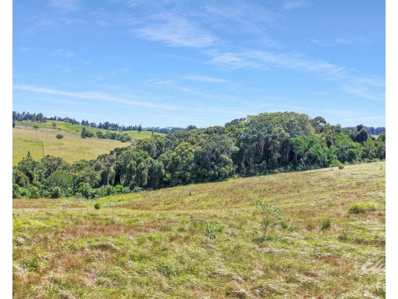 Lot 6 Glen Allyn Road, Malanda QLD 4885