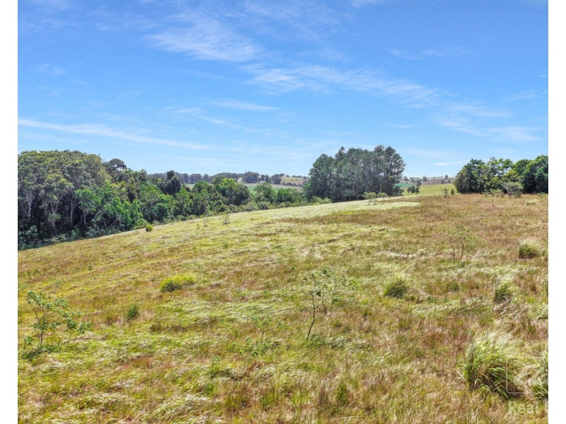 Lot 6 Glen Allyn Road, Malanda QLD 4885
