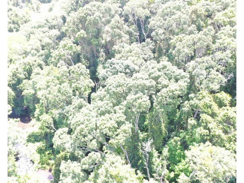 Lot 6 Glen Allyn Road, Malanda QLD 4885