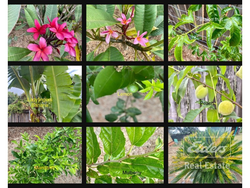 431 PEERAMON ROAD, Malanda QLD 4885