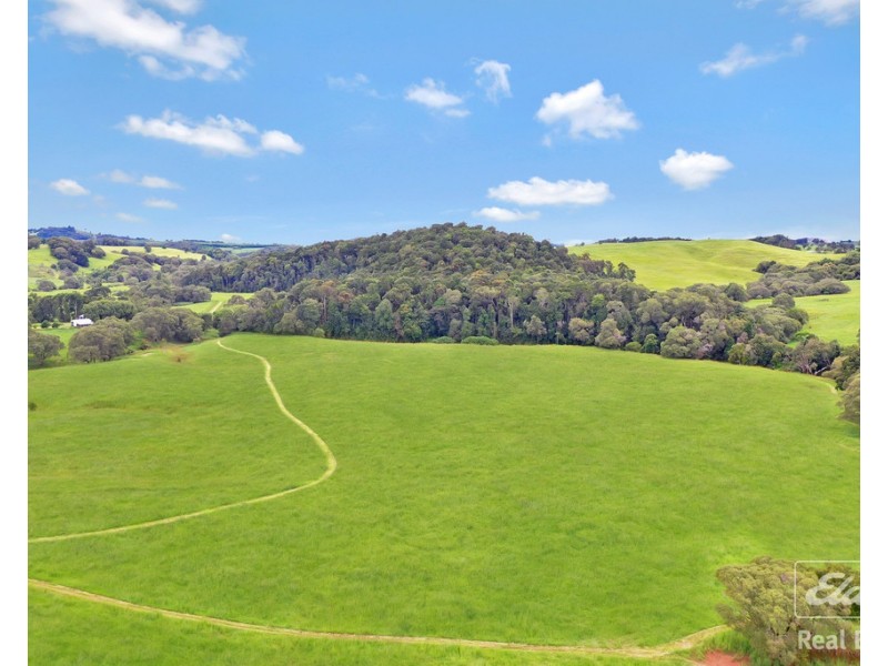 564 Glen Allyn Road, Malanda QLD 4885