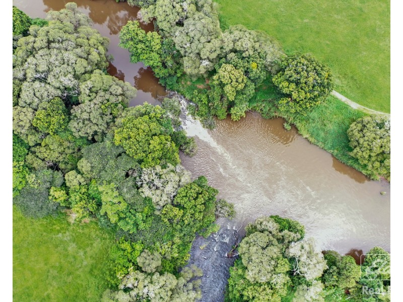 564 Glen Allyn Road, Malanda QLD 4885