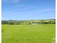 1186 THERESA CREEK ROAD, Millaa Millaa QLD 4886