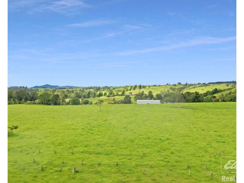 1186 THERESA CREEK ROAD, Millaa Millaa QLD 4886