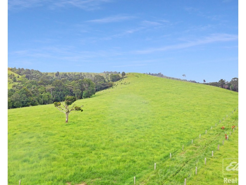 1186 THERESA CREEK ROAD, Millaa Millaa QLD 4886