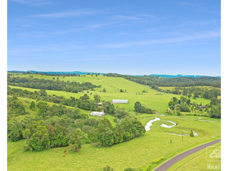 1186 THERESA CREEK ROAD, Millaa Millaa QLD 4886