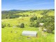 1186 THERESA CREEK ROAD, Millaa Millaa QLD 4886