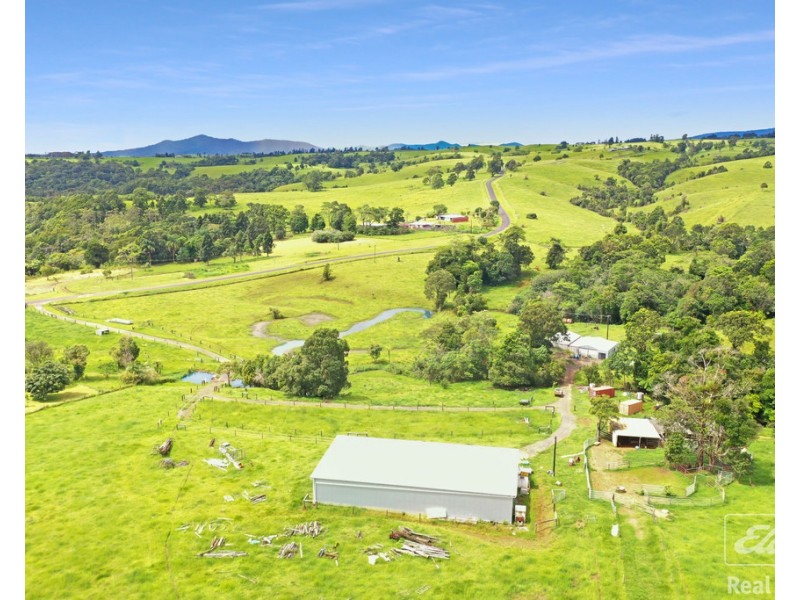 1186 THERESA CREEK ROAD, Millaa Millaa QLD 4886