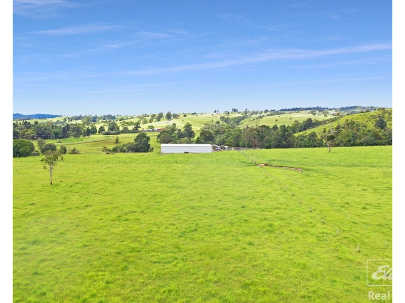 1186 THERESA CREEK ROAD, Millaa Millaa QLD 4886