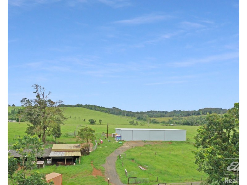 1186 THERESA CREEK ROAD, Millaa Millaa QLD 4886