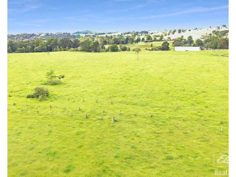 1186 THERESA CREEK ROAD, Millaa Millaa QLD 4886