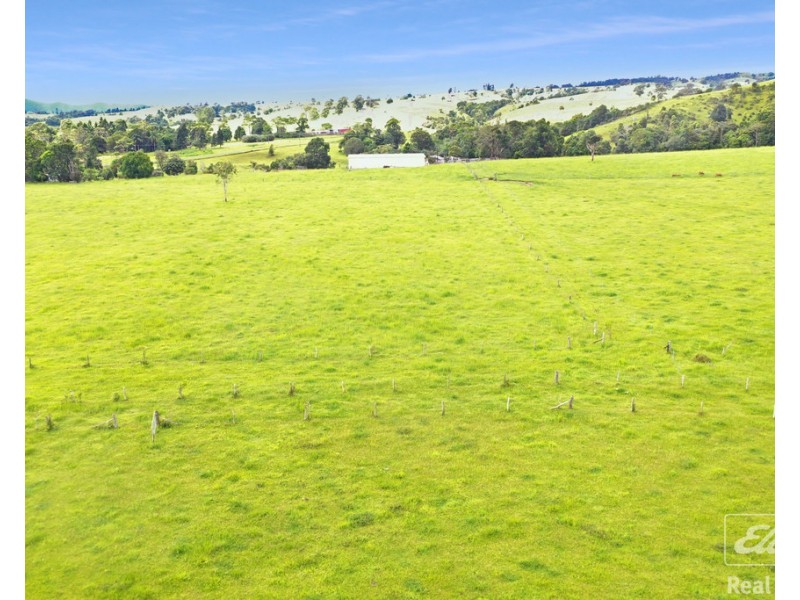 1186 THERESA CREEK ROAD, Millaa Millaa QLD 4886