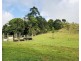 1186 THERESA CREEK ROAD, Millaa Millaa QLD 4886