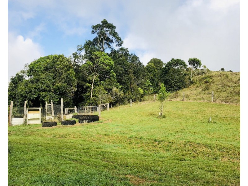 1186 THERESA CREEK ROAD, Millaa Millaa QLD 4886