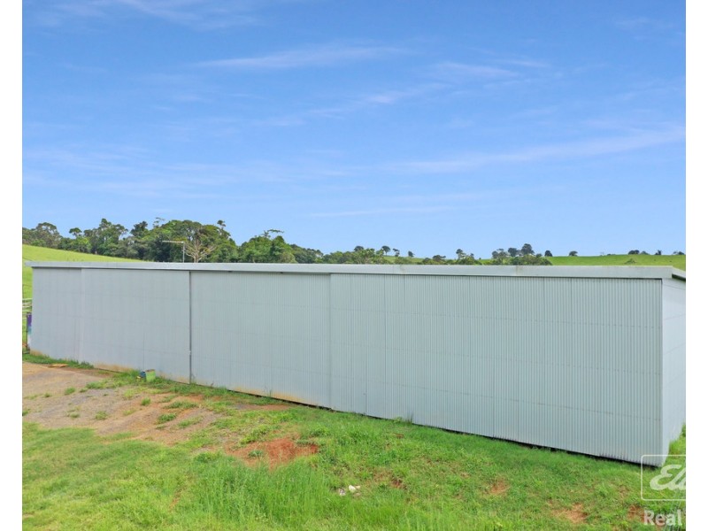 1186 THERESA CREEK ROAD, Millaa Millaa QLD 4886