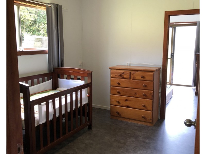 1186 THERESA CREEK ROAD, Millaa Millaa QLD 4886