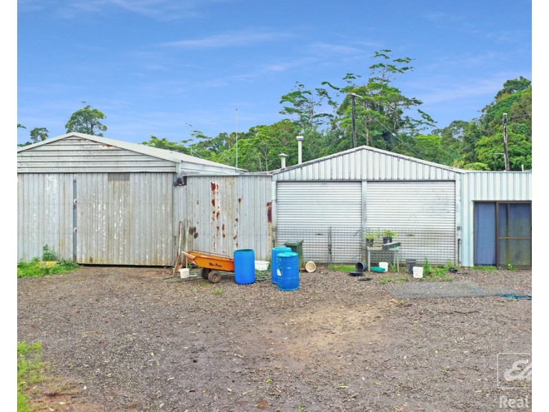 1186 THERESA CREEK ROAD, Millaa Millaa QLD 4886