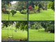 118 MCLEAN ROAD, Malanda QLD 4885