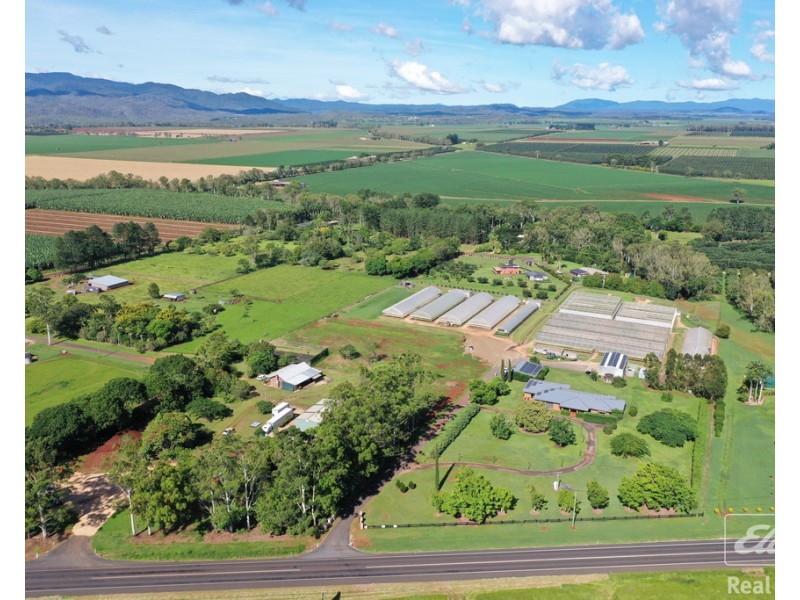7335 Kennedy Highway, Tolga QLD 4882