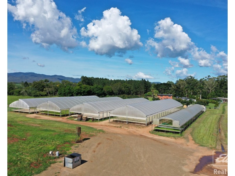 7335 Kennedy Highway, Tolga QLD 4882