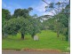 18-20 Mazlin Street, Atherton QLD 4883
