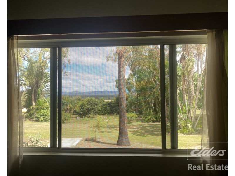 Paddys Green QLD 4880