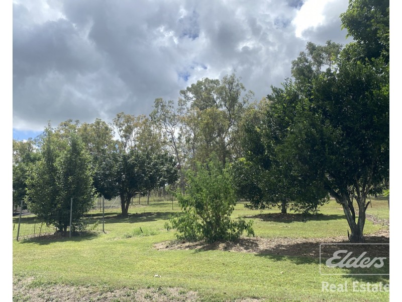 Paddys Green QLD 4880