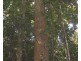 Malanda QLD 4885