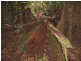 Malanda QLD 4885