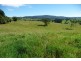 Millaa Millaa QLD 4886