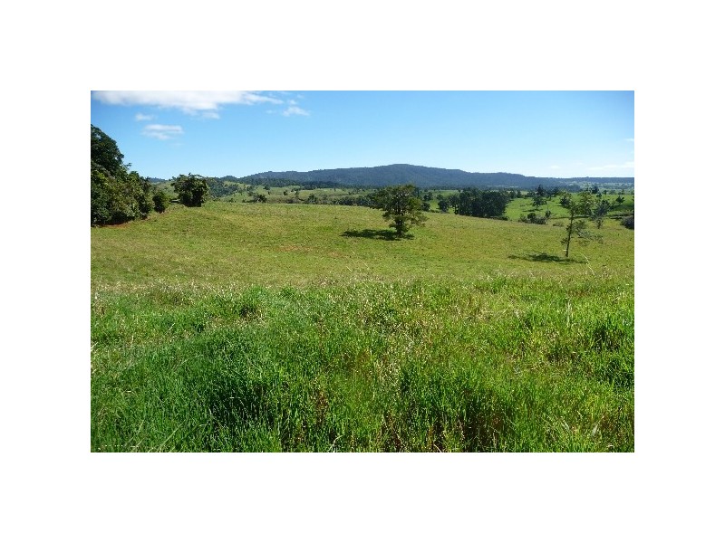 Millaa Millaa QLD 4886
