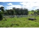 Millaa Millaa QLD 4886