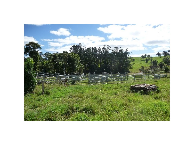 Millaa Millaa QLD 4886