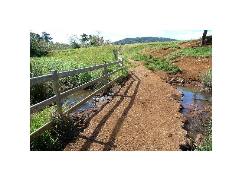 Millaa Millaa QLD 4886