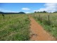 Millaa Millaa QLD 4886